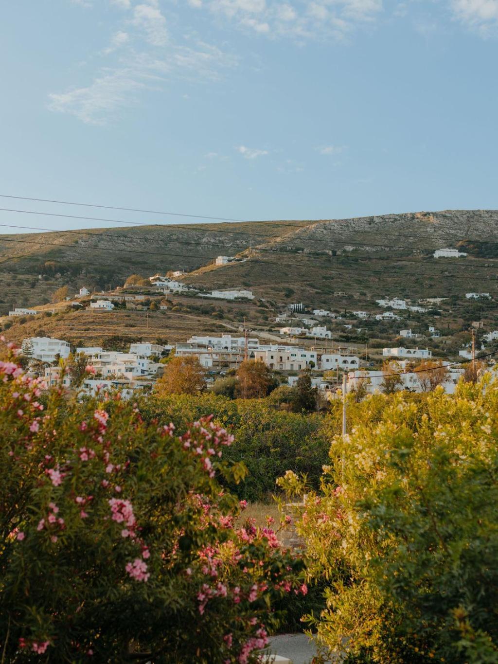 פארוס Adelfia Studios מראה חיצוני תמונה